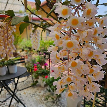 Dang Khoa Garden Inn Homestay 萨帕 外观 照片