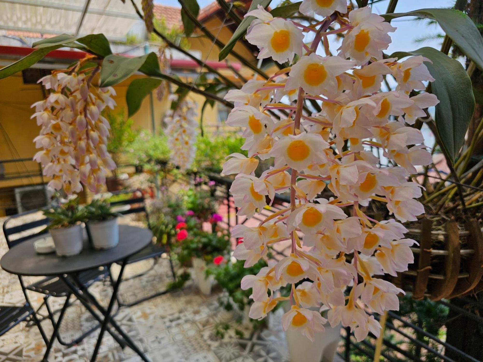 Dang Khoa Garden Inn Homestay 萨帕 外观 照片
