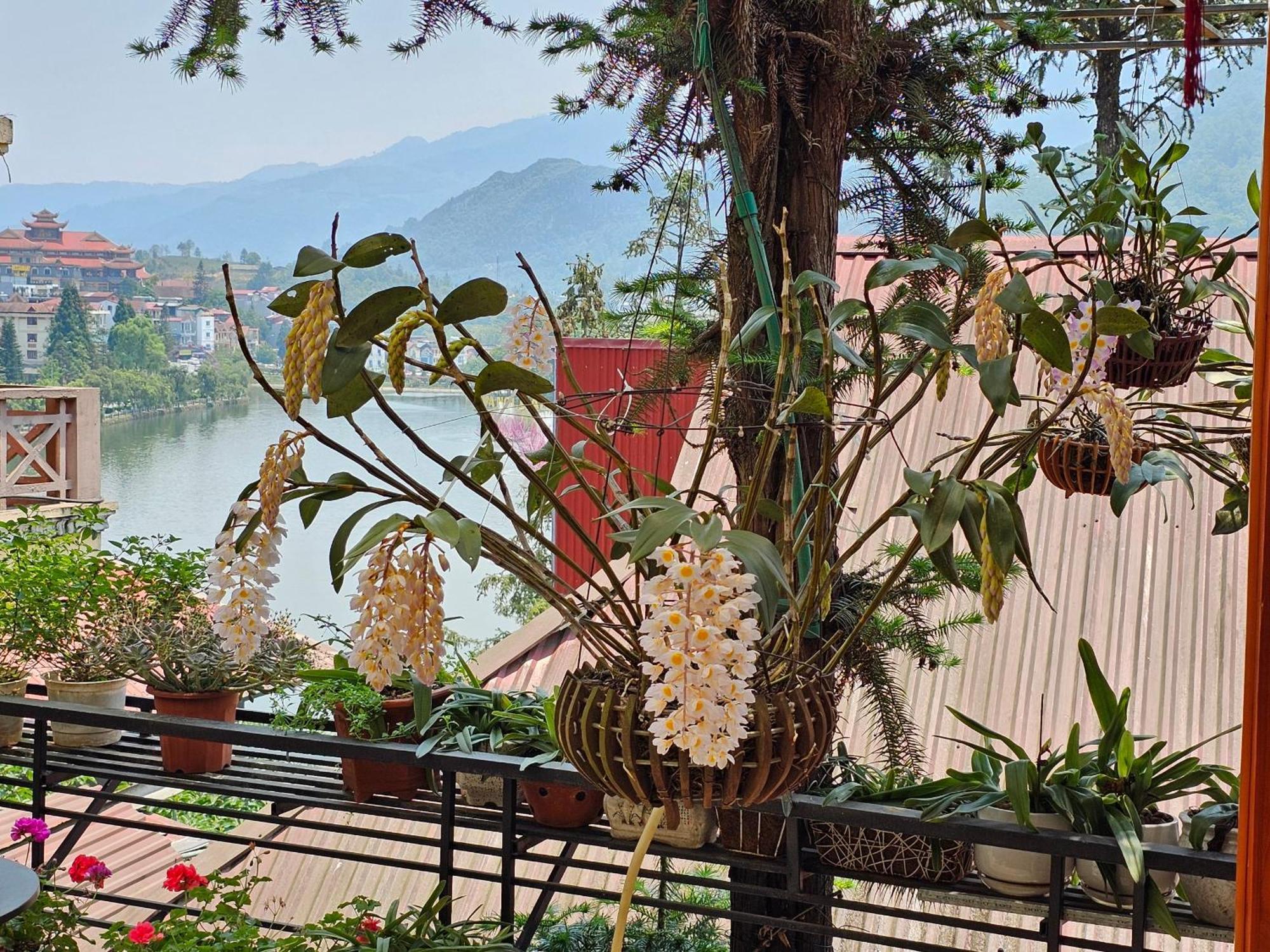Dang Khoa Garden Inn Homestay 萨帕 外观 照片