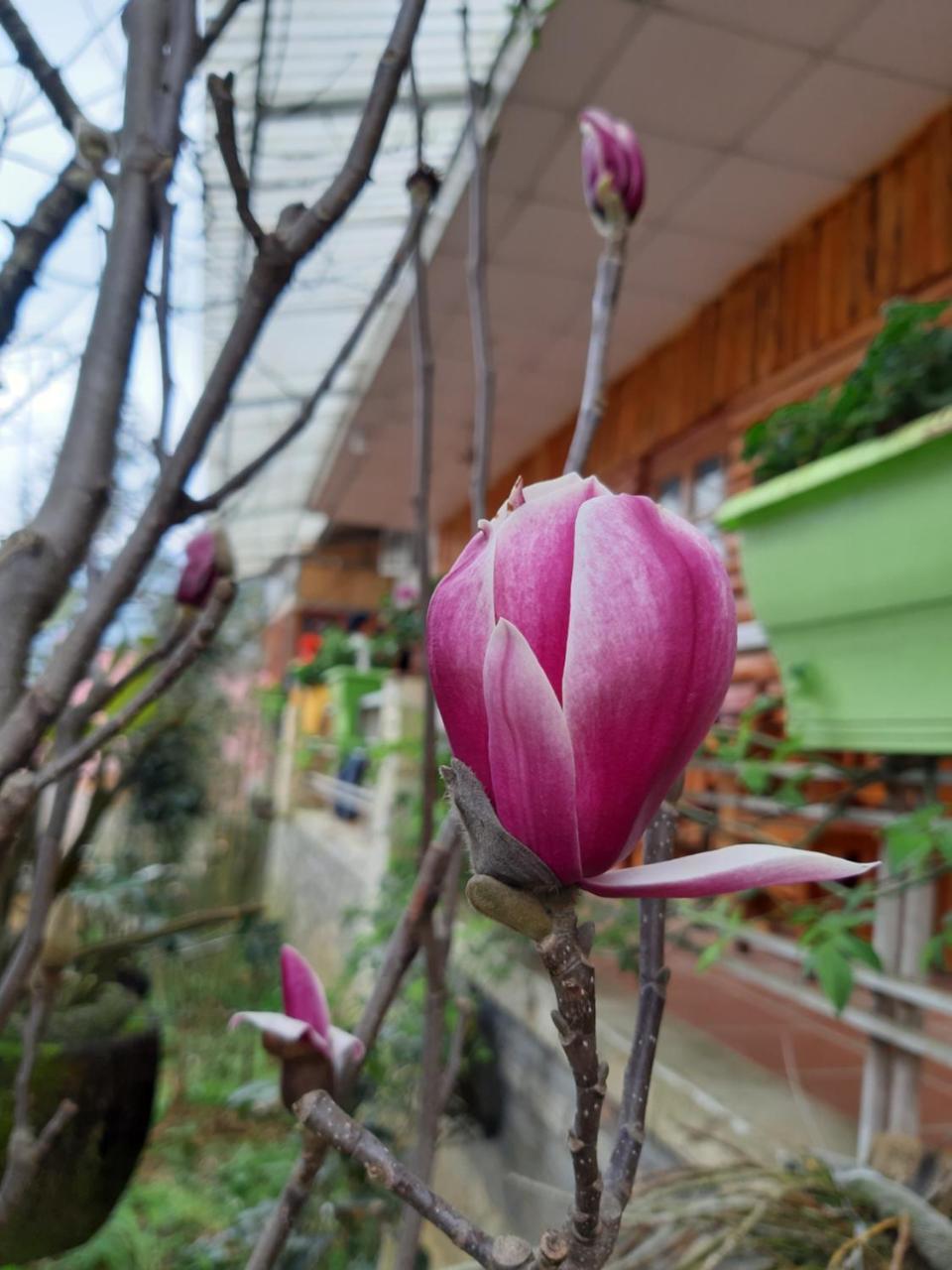 Dang Khoa Garden Inn Homestay 萨帕 外观 照片